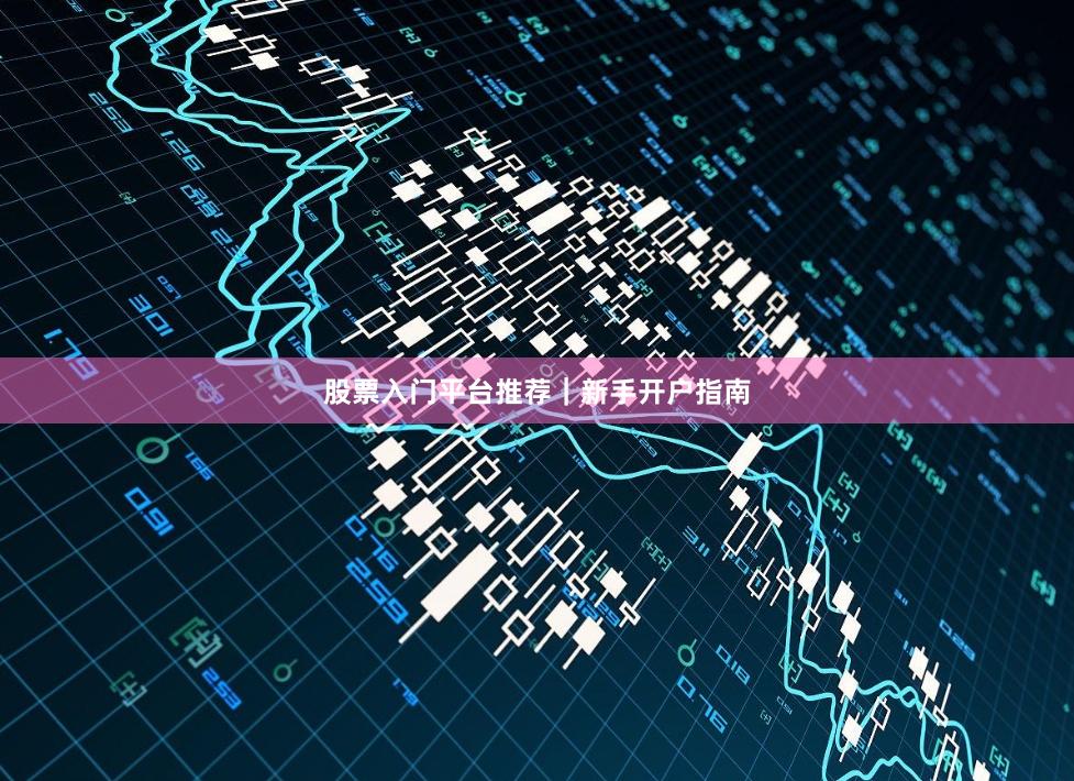股票入门平台推荐｜新手开户指南