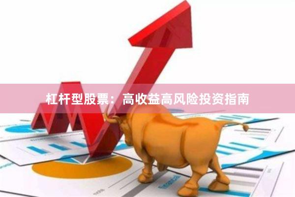 杠杆型股票：高收益高风险投资指南