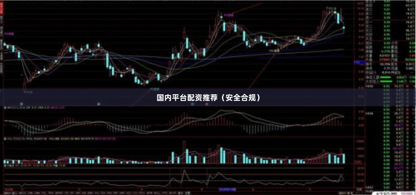 国内平台配资推荐（安全合规）