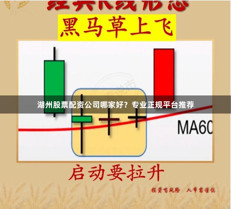 湖州股票配资公司哪家好？专业正规平台推荐