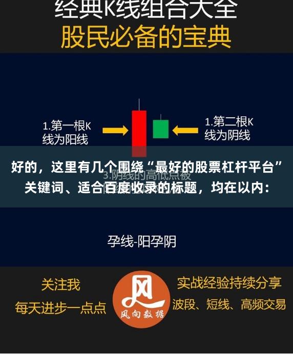 好的，这里有几个围绕“最好的股票杠杆平台”关键词、适合百度收录的标题，均在以内：