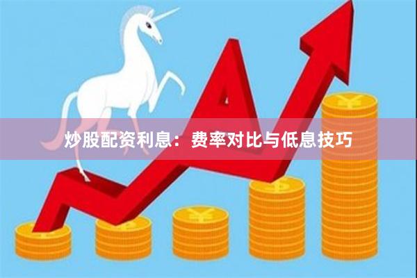 炒股配资利息：费率对比与低息技巧